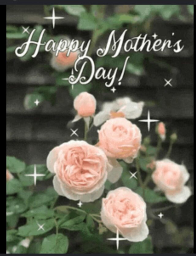 Happy Mother’s Day from all of us at AMJ Barbershop 💐✂️
Today we celebrate all the amazing mothers, grandmothers, and mother figures who inspire us with their strength, love, and dedication every single day. Thank you for everything you do — we appreciate you more than words can say.
Wishing you a relaxing, beautiful, and well-deserved Mother’s Day! ❤️